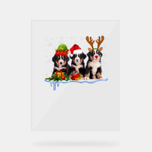 Panneau En Acrylique Chien de montagne bernois Noël mignonne