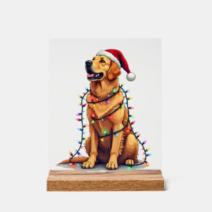 Panneau En Acrylique Chien Golden Retriever Père Noël Noël Xmas Lumière