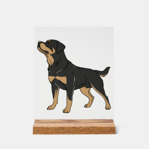 Panneau En Acrylique Chien Rottweiler, Chien Rottweiler Debout
