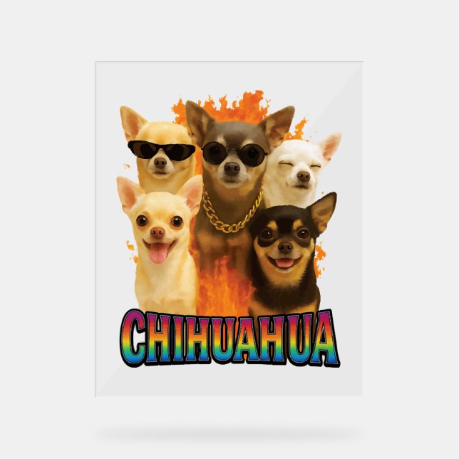 Panneau En Acrylique Chihuahua    (Recto)