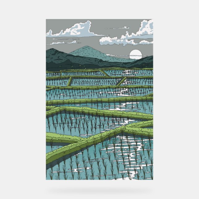 Panneau En Acrylique Chinois Paddy Field (Recto)
