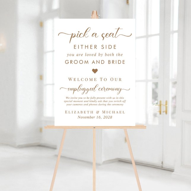 Panneau En Acrylique Choisir Un Siège De Chaque Côté Mariage Siège Blan (Créateur téléchargé)