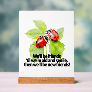 Panneau En Acrylique Citation d'amitié des coccinelles drôle Anniversai
