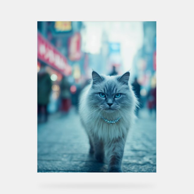 Panneau En Acrylique City Chic : La reine du Catwalk (Recto)