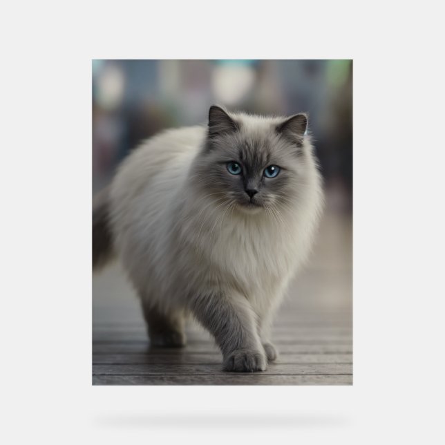 Panneau En Acrylique City Strolls and Sapphire Eyes (Recto)