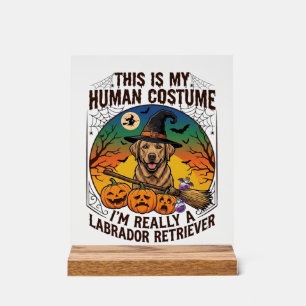 Panneau En Acrylique Costume Humain Labrador Retriever Sorcière d'Hallo