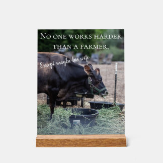 Panneau En Acrylique cow poster