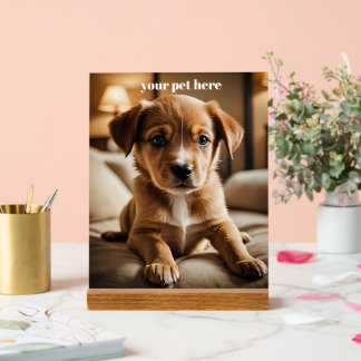 Panneau En Acrylique Custom