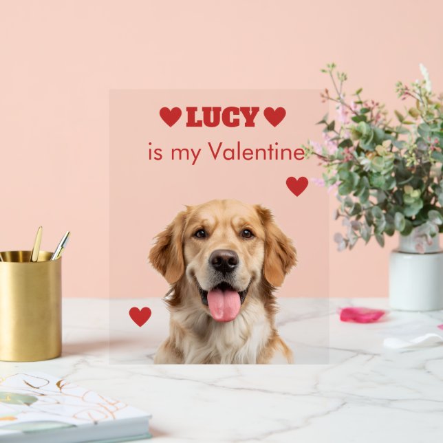 Panneau En Acrylique Custom Dog Photo Acrylic Sign (Mariage)