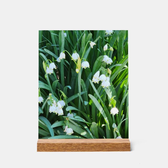 Panneau En Acrylique Dans le jardin... (Recto)