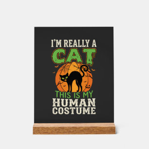 Panneau En Acrylique Déguisement Humain Chat Halloween Création Drôle