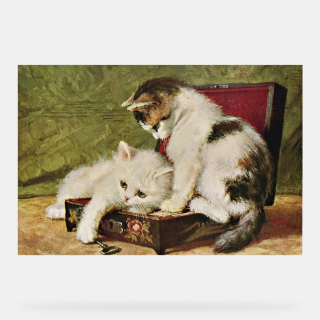 Panneau En Acrylique Deux chatons joueurs (Recto)