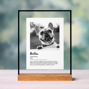 Panneau En Acrylique Dictionnaire de définition de photo de chien perso
