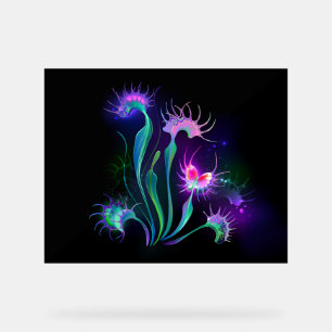 Panneau En Acrylique Dionaea piège lumineuse