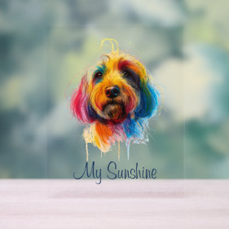 Panneau En Acrylique Doodle coloré