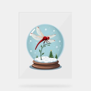 Panneau En Acrylique Dragonale du Globe des neiges