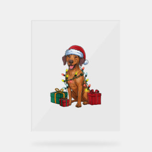Panneau En Acrylique Éclairage de Noël Père Noël Rhodesian Ridgeback Ch