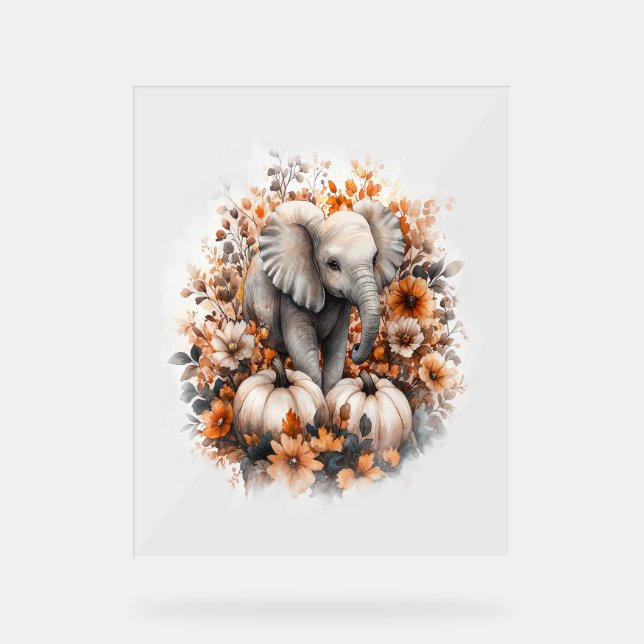 Panneau En Acrylique Elephant Citrouille du pays de chemise (Recto)