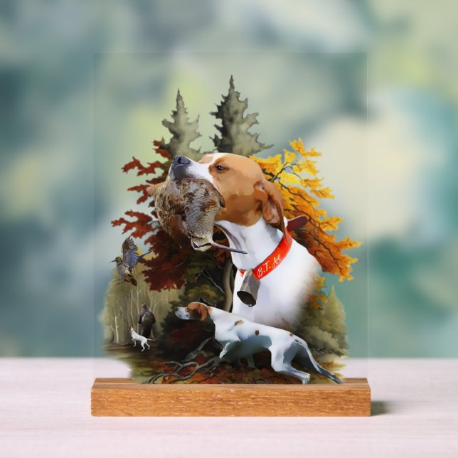 Panneau En Acrylique English Pointer  (Neutre)