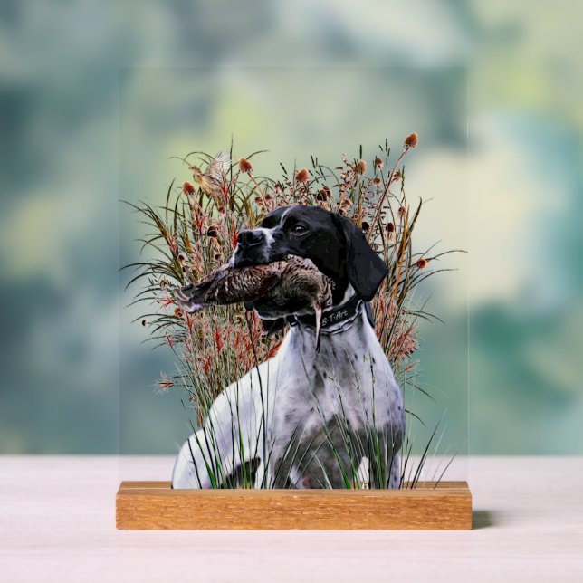 Panneau En Acrylique English Pointer  (Neutre)