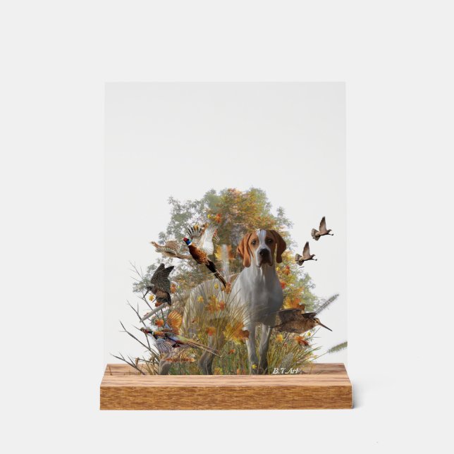 Panneau En Acrylique English Pointer  (Recto)