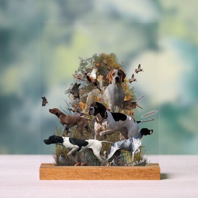 Panneau En Acrylique English Pointer  (Neutre)