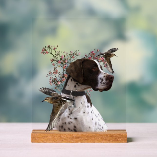 Panneau En Acrylique English Pointer  (Neutre)