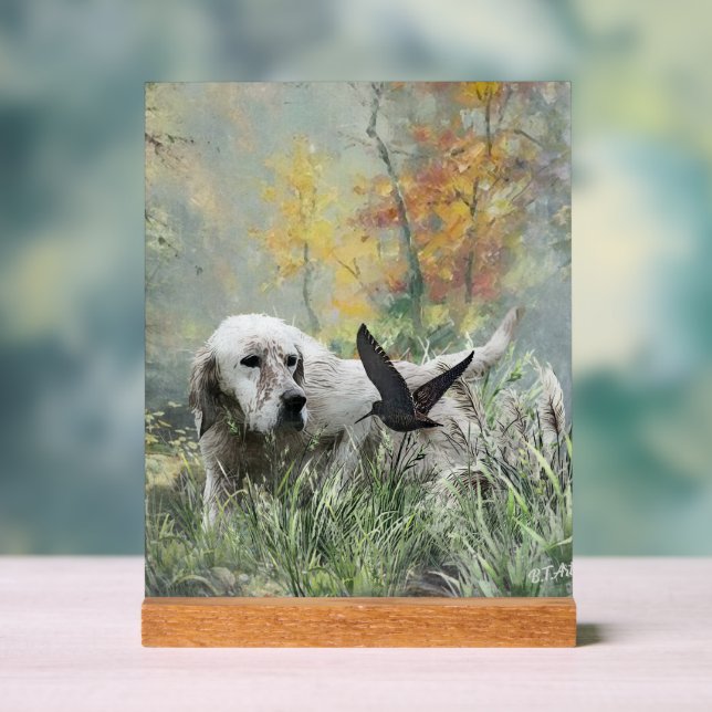 Panneau En Acrylique English Setter  (Neutre)