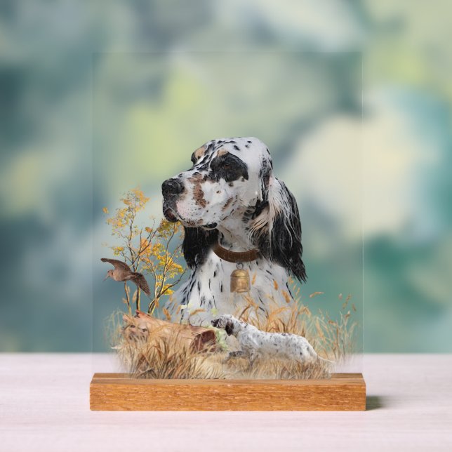 Panneau En Acrylique English Setter  (Neutre)