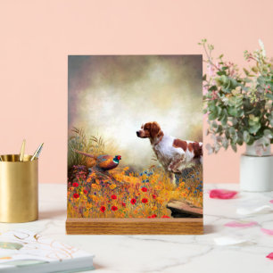 Panneau En Acrylique Épagneul breton