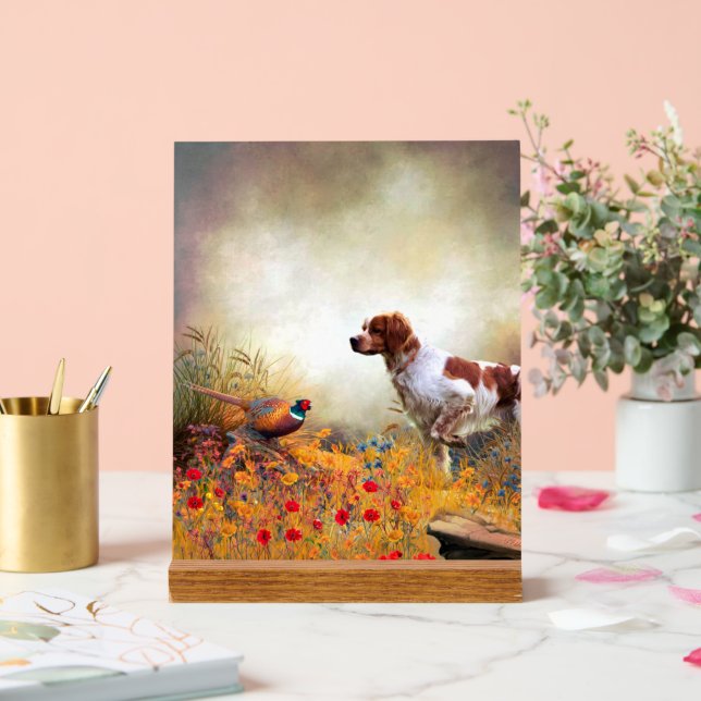 Panneau En Acrylique Épagneul breton (Mariage)