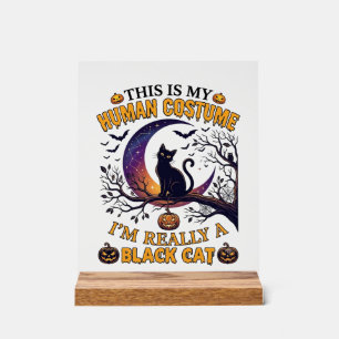 Panneau En Acrylique Est Costume Humain Chat Noir Halloween Lune_1