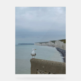 Panneau En Acrylique Falaises de Seagul et Seven Sisters, Royaume-Uni