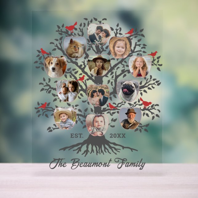 Panneau En Acrylique Family Tree 12 Photo Collage Nom et date personnal (Neutre)