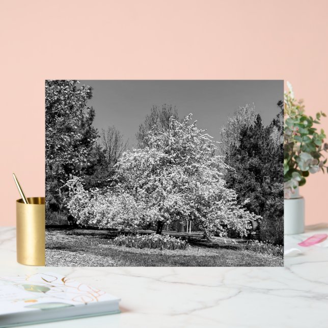 Panneau En Acrylique Fleurir en noir et blanc (Mariage)