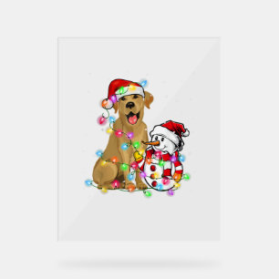 Panneau En Acrylique Funky Labrador Chien Noël Tee Snowman Xmas Ligh