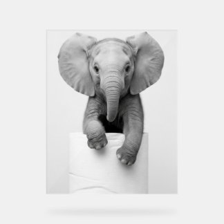 Panneau En Acrylique Funny Aesthetic Baby Elephant ToiletPaper Wildlife