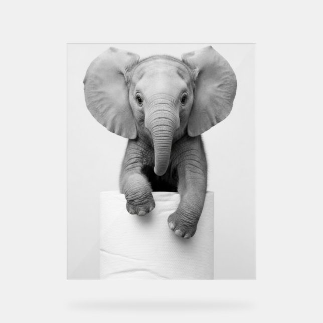 Panneau En Acrylique Funny Aesthetic Baby Elephant ToiletPaper Wildlife (Recto)