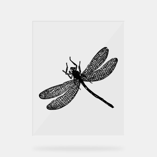 Panneau En Acrylique Garden Dragonfly Imprimer Cadeau Tee (Recto)