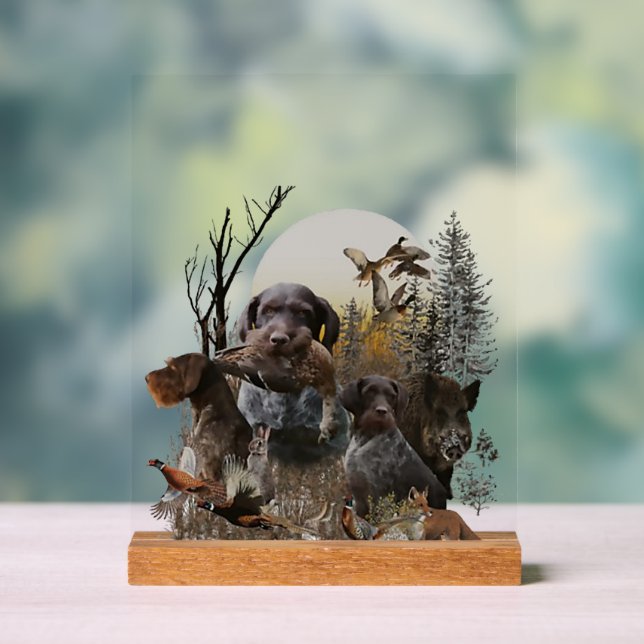 Panneau En Acrylique German Wirehaired Pointer, GWP (Neutre)