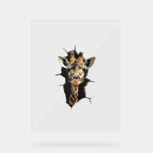 Panneau En Acrylique Giraffe _7