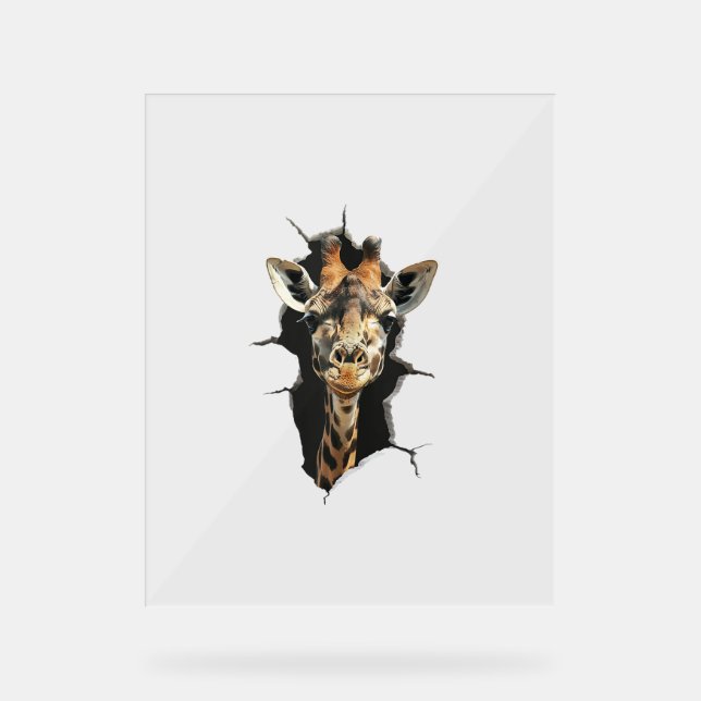 Panneau En Acrylique Giraffe _7 (Recto)