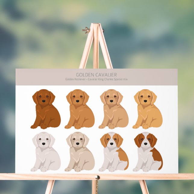 Panneau En Acrylique Golden Cavalier (Neutre)