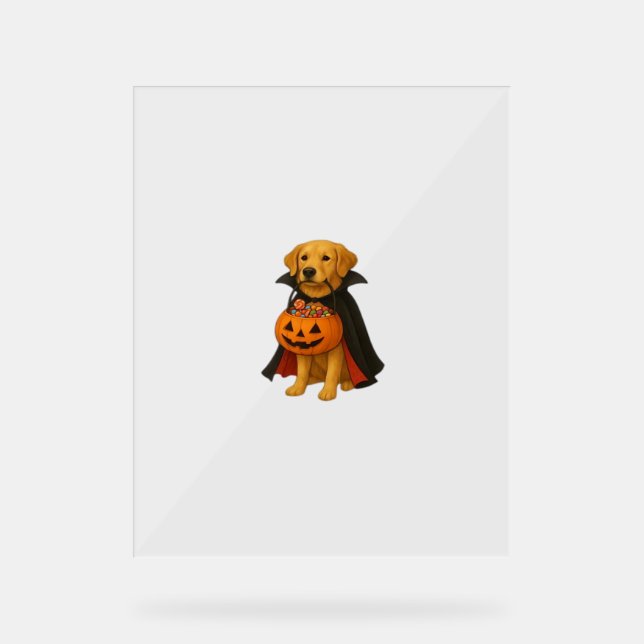Panneau En Acrylique Golden Retriever Halloween Chien avec bonbon Citro (Recto)