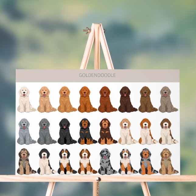 Panneau En Acrylique Goldendoodle dog mix (Neutre)