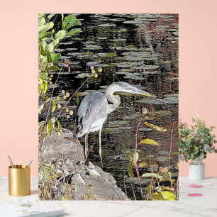 Panneau En Acrylique Grand Héron sur Étang