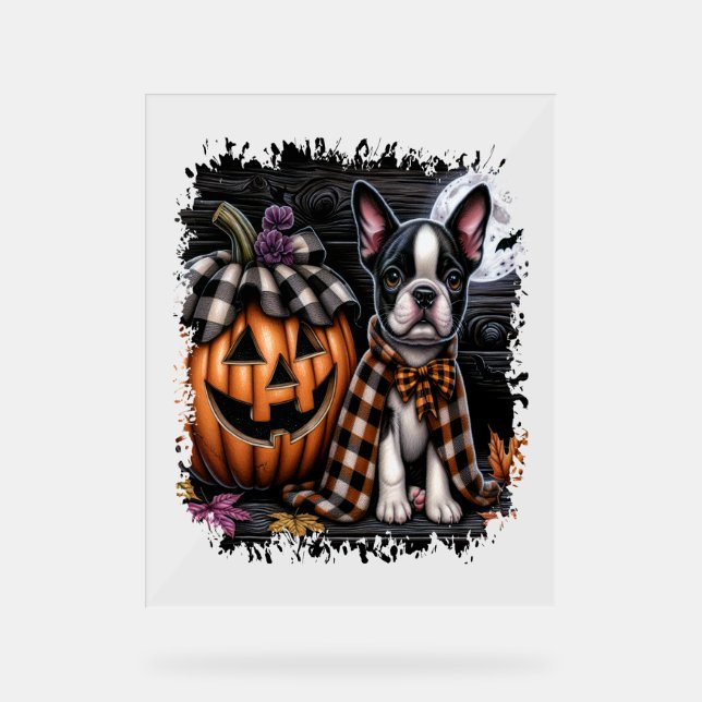 Panneau En Acrylique Halloween Boston Terrier Dog (Recto)
