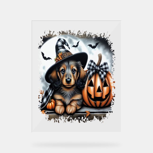 Panneau En Acrylique Halloween Dachshund Chien (Recto)
