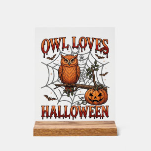Panneau En Acrylique Hibou aime Halloween Orange Toile d'araignée Citro