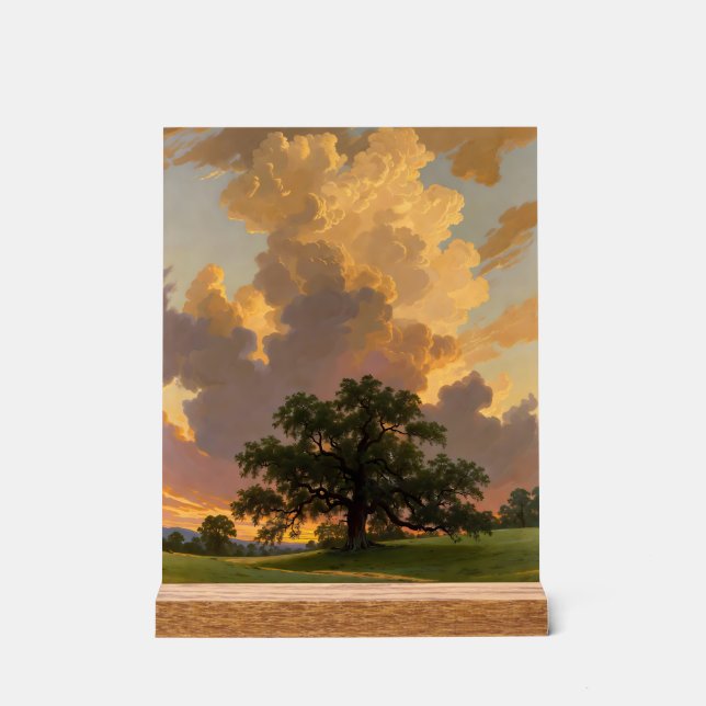 Panneau En Acrylique Impression d'art de paysage d'arbre solitaire sous (Recto)